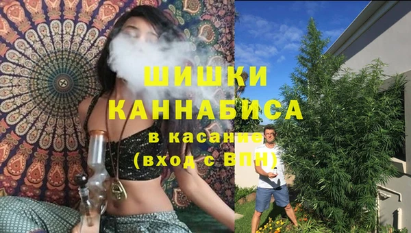 таблы Новозыбков