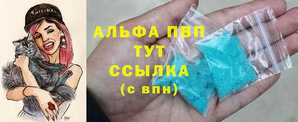 таблы Новозыбков