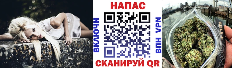 OMG как зайти  Калининец  Бошки марихуана план 